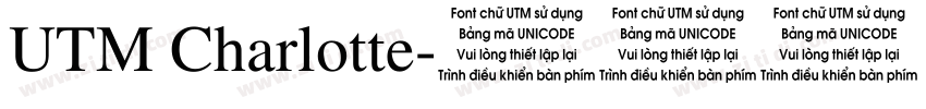 UTM Charlotte字体转换